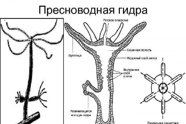 Kraken актуальный сайт